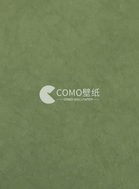 诺奇兄弟 商业空间TC墙纸RJ02047 RJ02052 RH0231 R81801 RJ04033