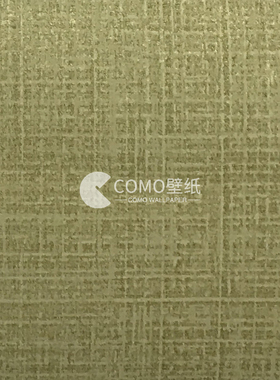 诺奇兄弟 商业空间墙纸RSG0203 RSF0504 RSA1205 RS88502 RSF0101