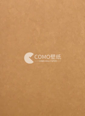 诺奇兄弟 商业空间TC 墙纸RJ01020 RJ01060 RH0325 RH0313 R82403