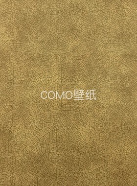 CASADECO墙纸WOOD26210113 26211119 26211204 26212313 26213525