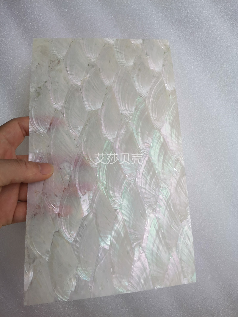 白色扇形贝母片鲍鱼贝壳薄片螺钿片灯饰家具木皮乐器雕刻拼花材料