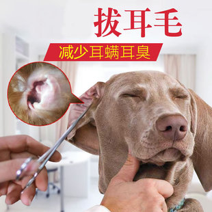 不锈钢狗狗拔耳毛钳宠物止血钳直头弯头手术钳血管钳猫咪拔毛镊子