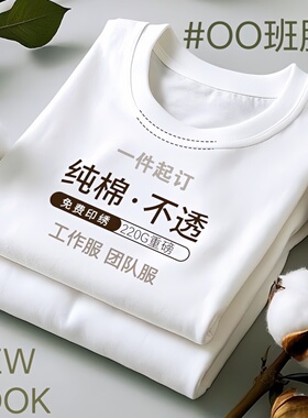 定制t恤圆领纯棉广告文化衫短袖班服diy团体polo衫工作衣服印logo