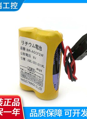 BRAGCF2WA98L00310011L公称电压6V黑色插头法那科机床电池
