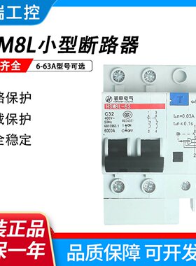 杭申杭州之江小型漏电断路器HSM8L63CD微型空气开关1PN2P663A