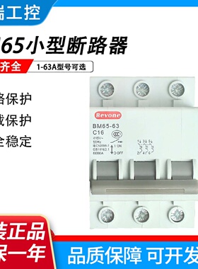 北京北元电器小型断路器BM6563CD微型空气开关1P2P3P4P163A