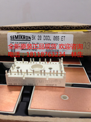 SK20DGDL065ET SK50DGDL065ET西门康模块全新正品现货