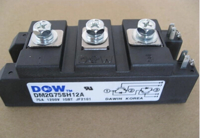 DM2G75SH12A DM2G100SH12AE 75A 100A 1200V韩国大卫IGBT模块全新