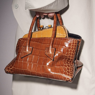 欧美博主同款 潮 小众设计鳄鱼纹不规则手提斜挎包小包包女2026春季