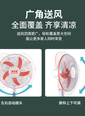 俱竞阳16寸大风力充电电风扇家用宿舍办公室摇头蓄电池应急落地扇