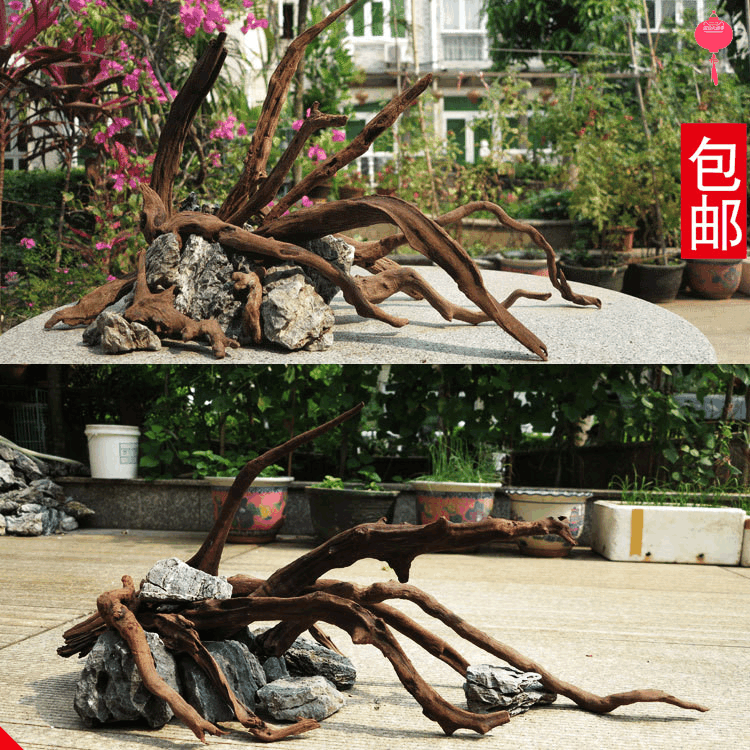 杜鹃根套餐造景圆柱缸 大型亚克力鱼缸 定做鱼缸 弧型亚克力缸