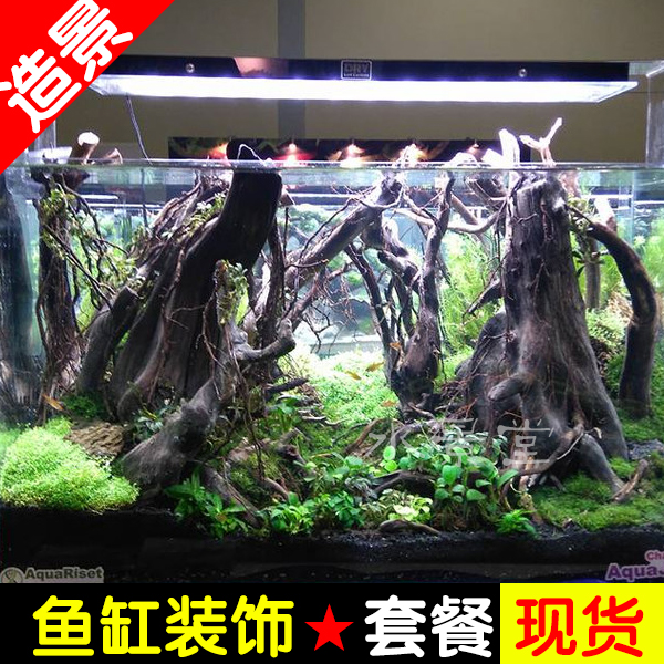 沉木造景套餐 杜鹃根青龙石疯狂石头水草一木一叶 生态鱼缸