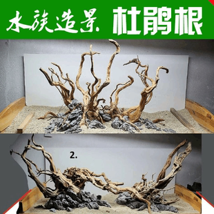 沉木水草鱼缸青龙石鱼缸生态造景懒人鱼缸 杜鹃根造景套餐