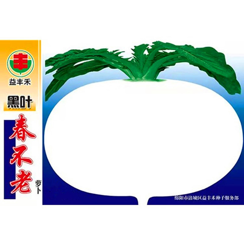 春不老圆白萝卜种子秋季耐寒菜籽