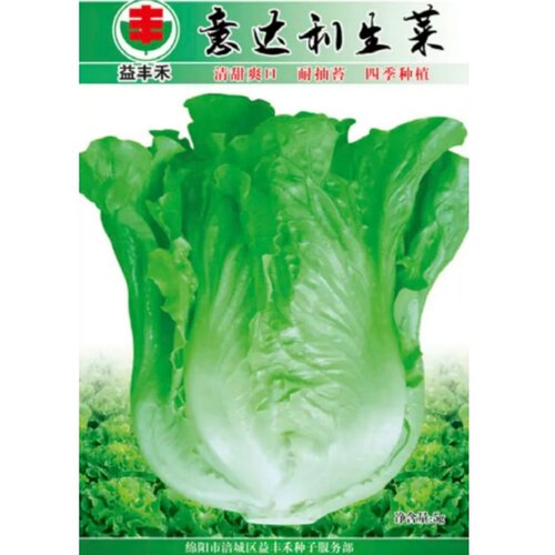 生菜种子意大利半结球生菜籽四季