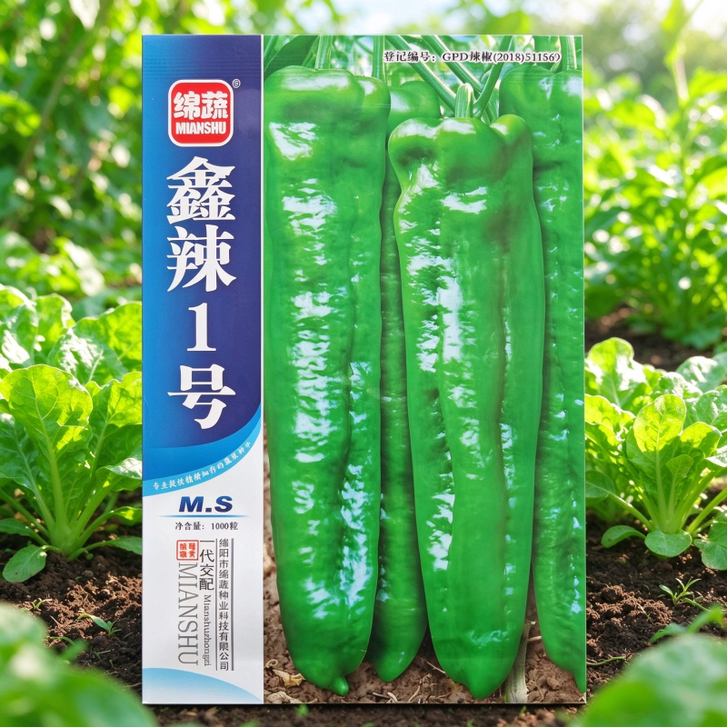 鑫辣1辣椒种子大青椒种籽牛角椒略薄皮菜椒种籽四川春秋季蔬菜孑