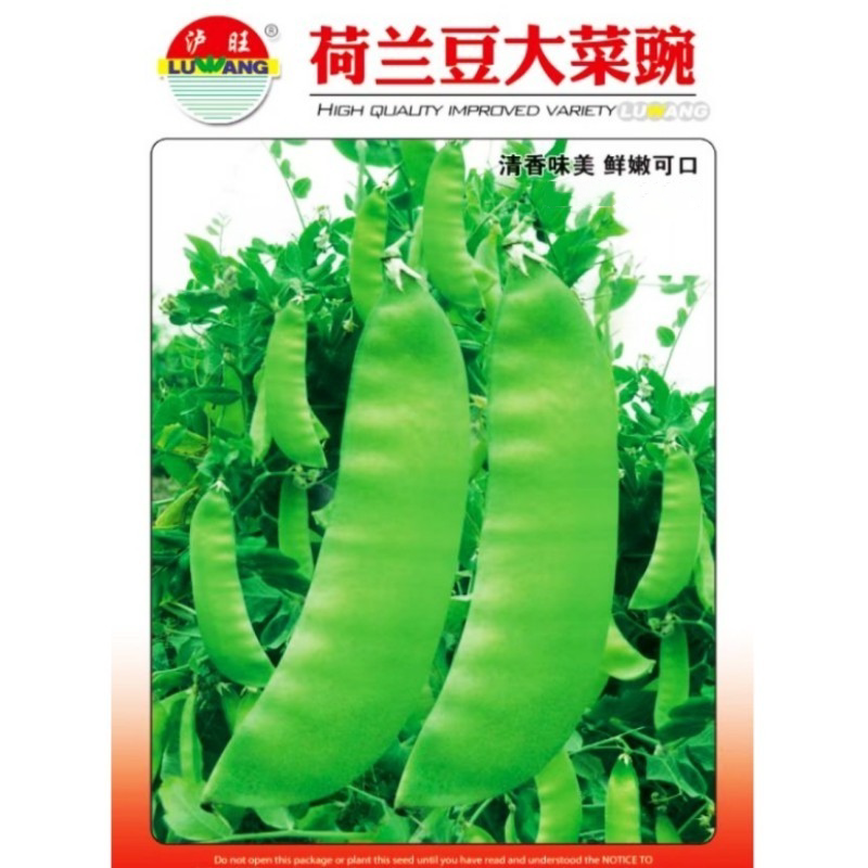 荷兰豆大菜豌豆种子食荚豌豆角种籽甜脆碗豆四川秋冬季田园蔬菜孑