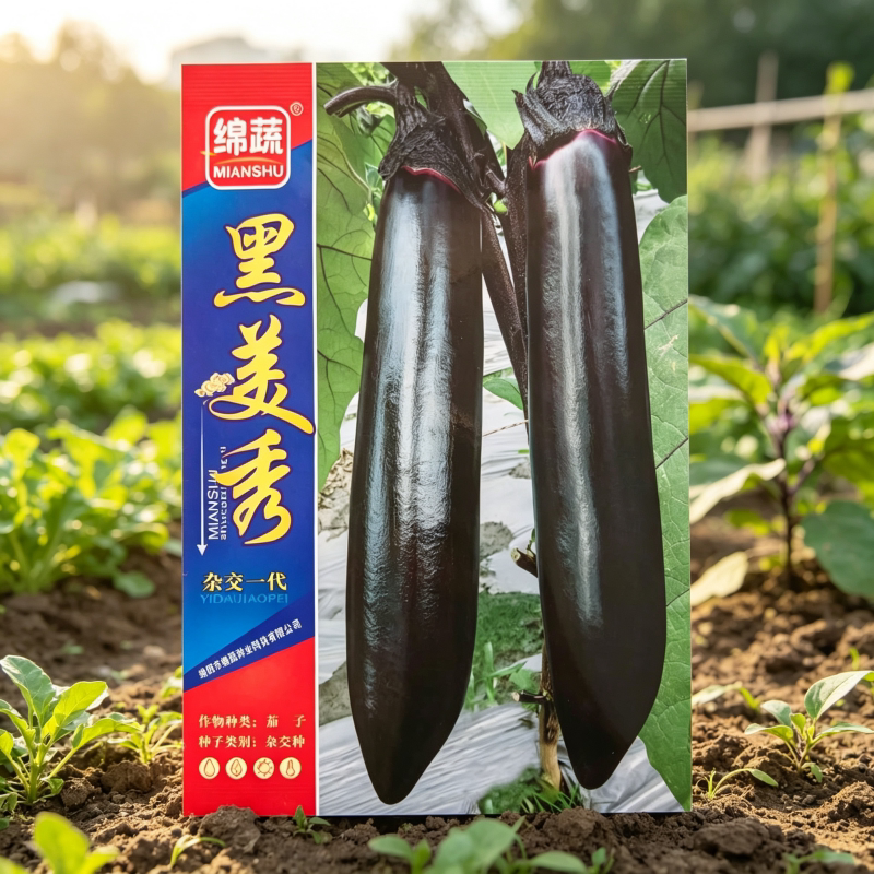 绵蔬杂交油黑亮茄子种子蔬菜种籽