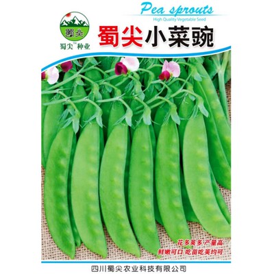 红花软荚荷兰豆种子豌豆荚角种籽