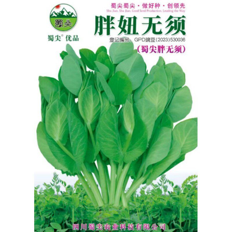 胖妞无须豌豆尖种子500克豌豆苗种籽芽苗菜四川秋冬季田园蔬菜孑