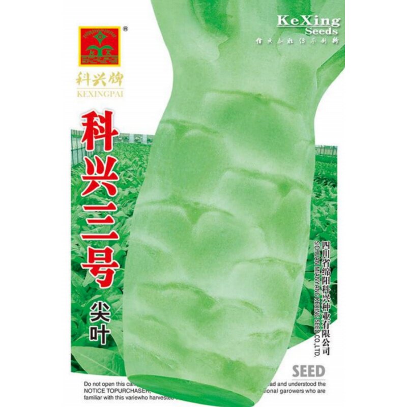 科兴三号莴笋种子耐热大尖叶香莴笋种籽莴苣四川夏秋季田园蔬菜孑