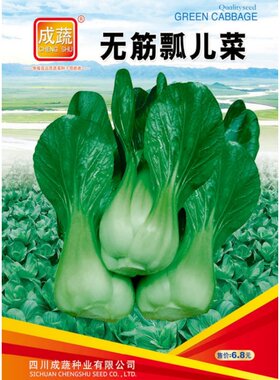 无筋瓢儿菜种子小白菜种青菜种籽