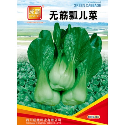 无筋瓢儿菜种子小白菜种青菜种籽