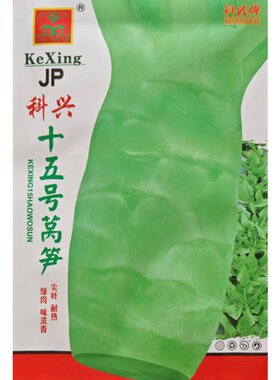 科兴十五号莴笋种子尖叶耐热绿肉