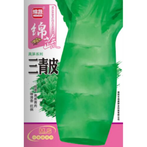 三青皮莴笋种籽农家耐寒蔬菜种子
