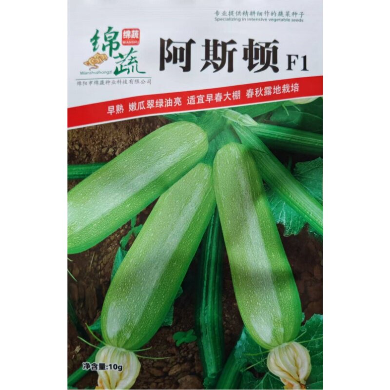 西葫芦瓜种子阿斯顿西葫瓜种籽翠绿油亮嫩南瓜四川春季田园蔬菜孑