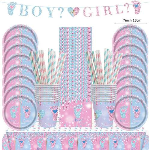 Gender Reveal Disposable Tableware Set Boy or Girl Baby Show