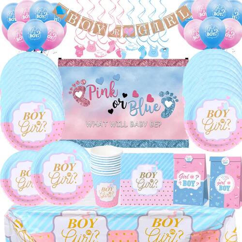 Pink Blue Boy Or Girl Gender Reveal Baby Shower Party Dispos