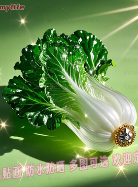 爆款白菜百财进家财运来自粘贴画贴客厅玄关入户门墙面简约装饰画