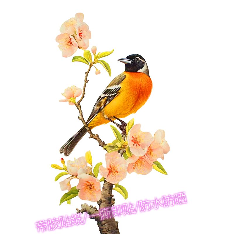 喜鹊报喜自粘贴画花鸟小鸟贴纸墙贴墙上木门上玻璃门窗汽车装饰贴