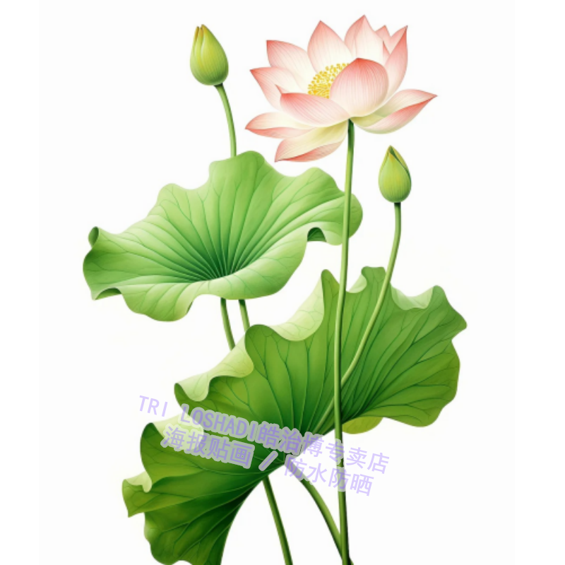 出淤泥不染唯美荷花自粘装饰画家居墙贴防水卫生间贴画莲花图贴纸