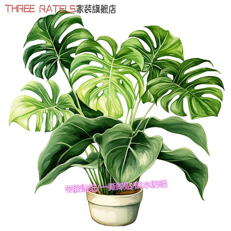 盆栽绿植花草贴纸3d立体插画贴墙冰箱家居门窗贴画植物仿真装饰画