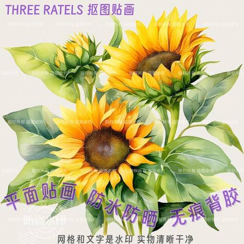 向日葵花贴画花卉自贴纸贴墙床边学生一举夺魁车贴门贴冰箱贴装饰