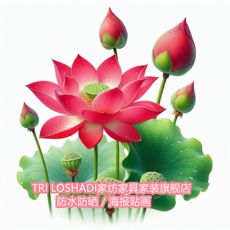 荷荷美美红莲花荷花自贴画马桶贴门贴厕所瓷砖防水贴纸贴墙上装饰