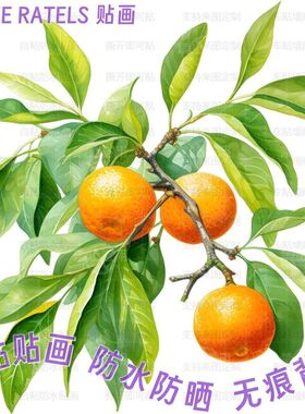 橙色柑橘桔子镂空贴画大吉大利餐厅门贴墙上冰箱柜门瓷砖贴纸装饰