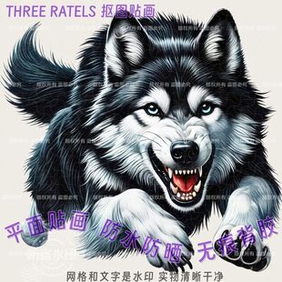 愤怒凶猛野狼图案贴纸动物摩托车汽车贴家居贴画门贴墙上霸气装饰