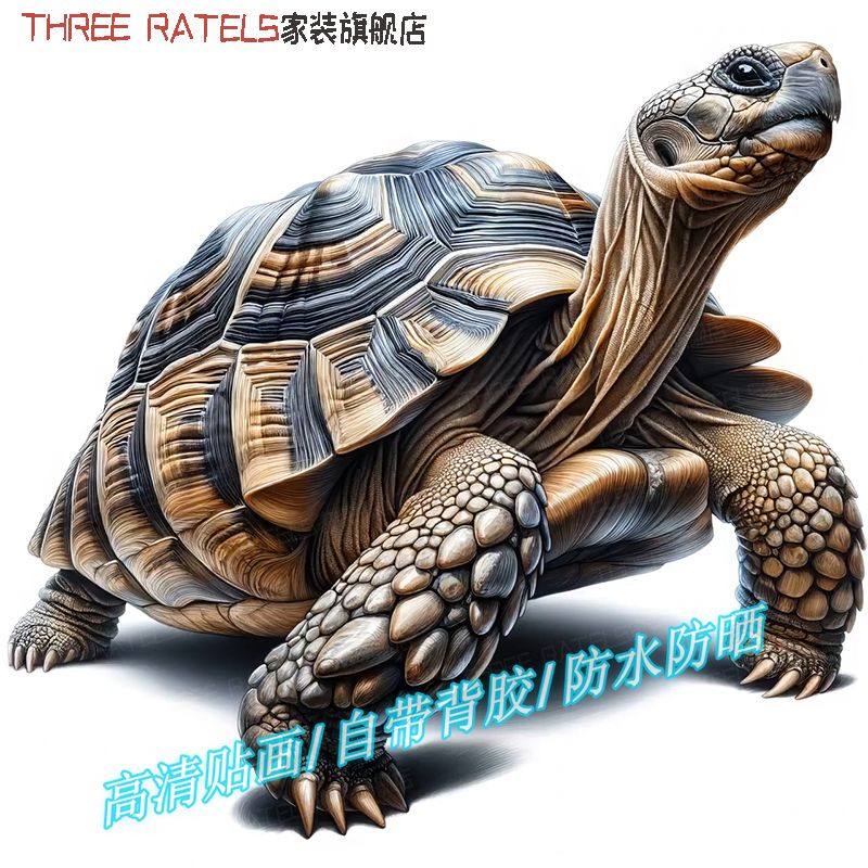 长寿龟乌龟图案3d贴画墙贴冰箱车身自粘贴纸疤痕贴瓷砖贴花装饰画