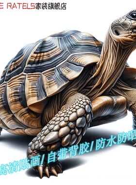 长寿龟乌龟图案3d贴画墙贴冰箱车身自粘贴纸疤痕贴瓷砖贴花装饰画