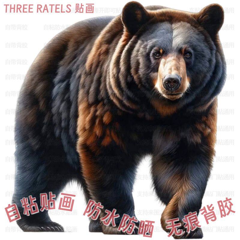 强壮黑熊图案头像贴纸车贴划痕自贴画柜门墙上瓷砖贴花防水装饰画