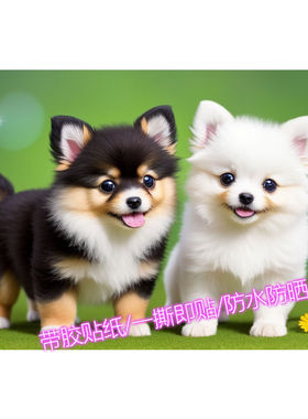 治愈可爱狗子自粘贴画走廊外墙门窗卧室柜子墙上贴纸定制装饰壁画