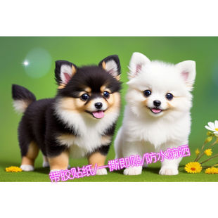 治愈可爱狗子自粘贴画走廊外墙门窗卧室柜子墙上贴纸定制装饰壁画