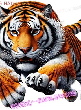 老虎猛虎王三维霸气防水墙贴车贴
