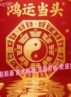 鸿运当头贴纸八方来财太极图自粘