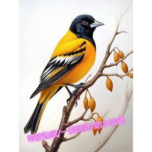 黄鹂报喜自粘墙贴飞鸟花鸟贴纸贴墙补贴墙上门窗汽车喜鹊中式贴画