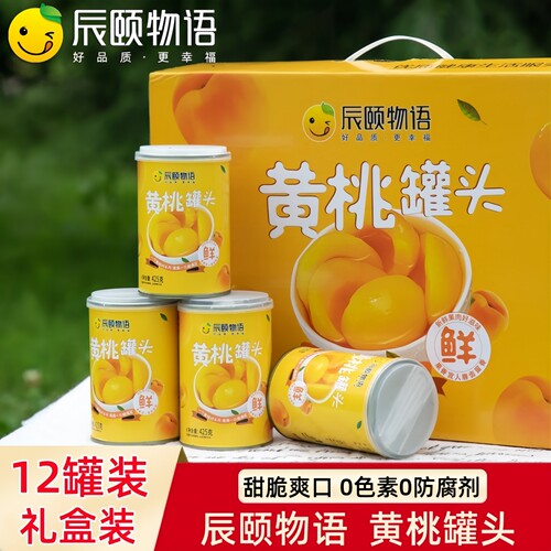 辰颐物语黄桃蜜橘子桔子梨汁罐头