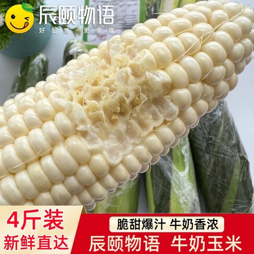 辰颐物语牛奶玉米新鲜现摘